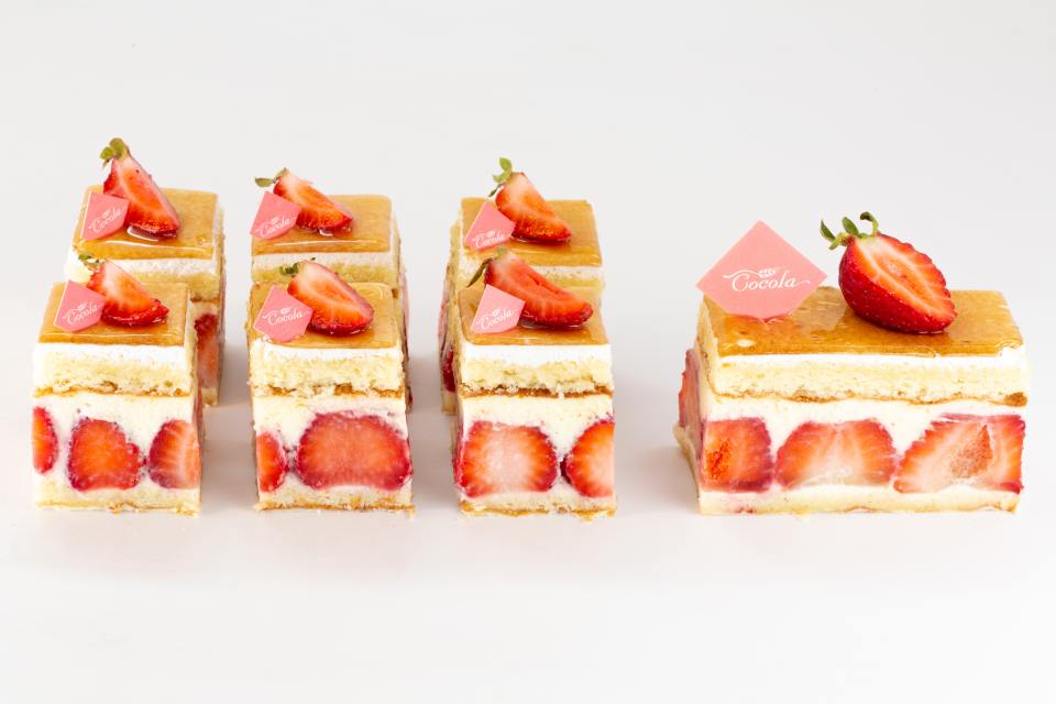 Half Size Strawberry Cake (Rogue)